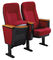 Sedie di plastica durevoli del teatro della sala di Shell con i sedili chiesa/del blocco fornitore