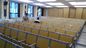 La scuola della mobilia dell'istituto universitario ha riparato la Tabella e la sedia/lo scrittorio dell'aula della scala corridoio di conferenza fornitore